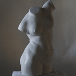 Busto Femenino